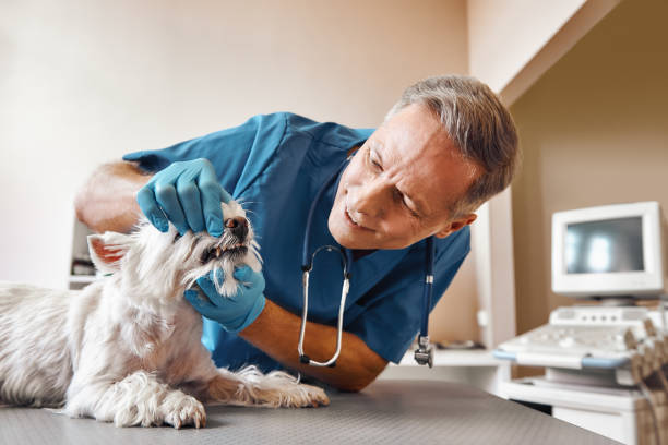 Best Knocked-Out Tooth Emergency  in Elliston, VA